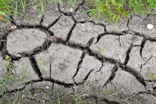 Parched, cracked earth after a prolonged drought.