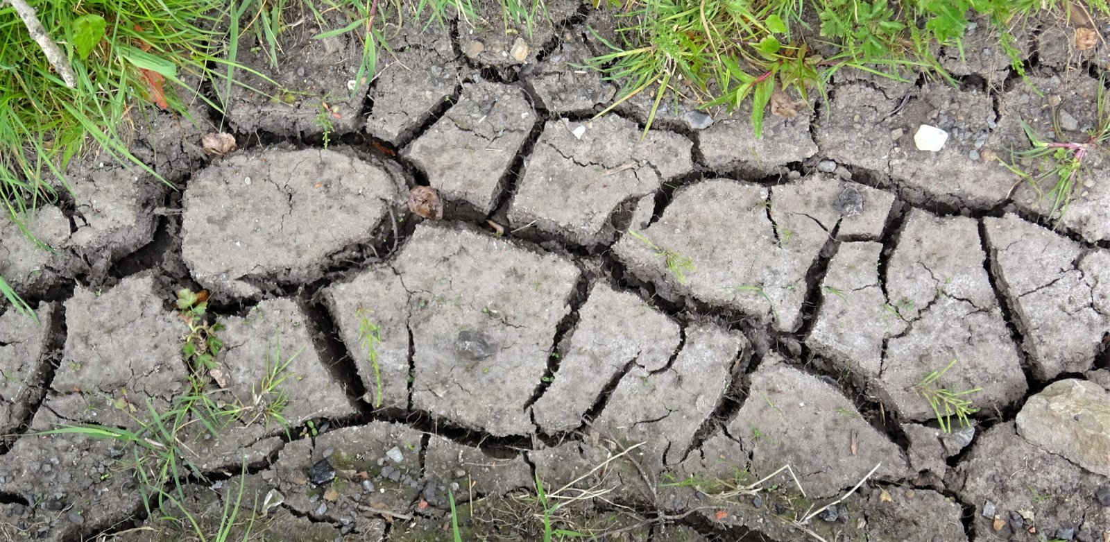 Parched, cracked earth after a prolonged drought.